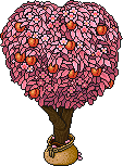 Sacked Blossom Peach Tree