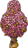 Sacked Blossom Pear Tree