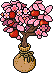 Sacked Blossom Apple Tree in a Pot