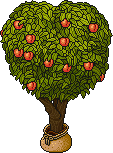 Sacked Peach Tree