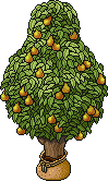 Sacked Pear Tree