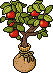 Sacked Apple Potling