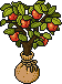 Sacked Peach Potling