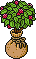 Sacked Raspberry Patch