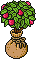 Sacked Strawberry Patch
