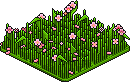 Sakura Patch
