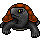 PET11