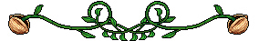catalog_header_mnstrSeeds.png