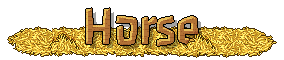 catalog_horse_header2_en.png