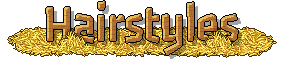 catalog_horsehairstyles2_header_en.png