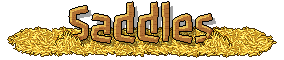 catalog_saddles_header2_en.png