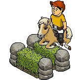 catalog_teaser_horsejump.png