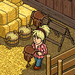 horse_teaser.png